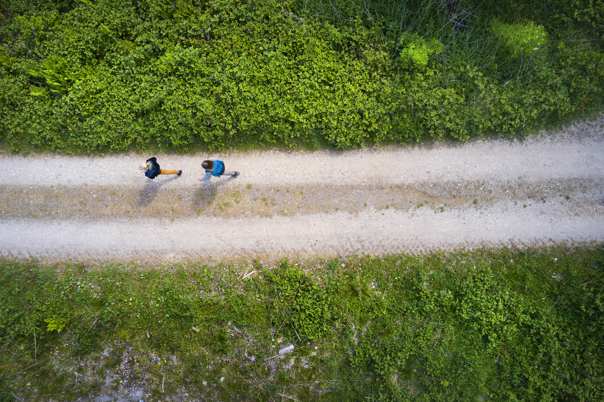 To personer vi ser i fugleperspektiv løper på en sti i skogen